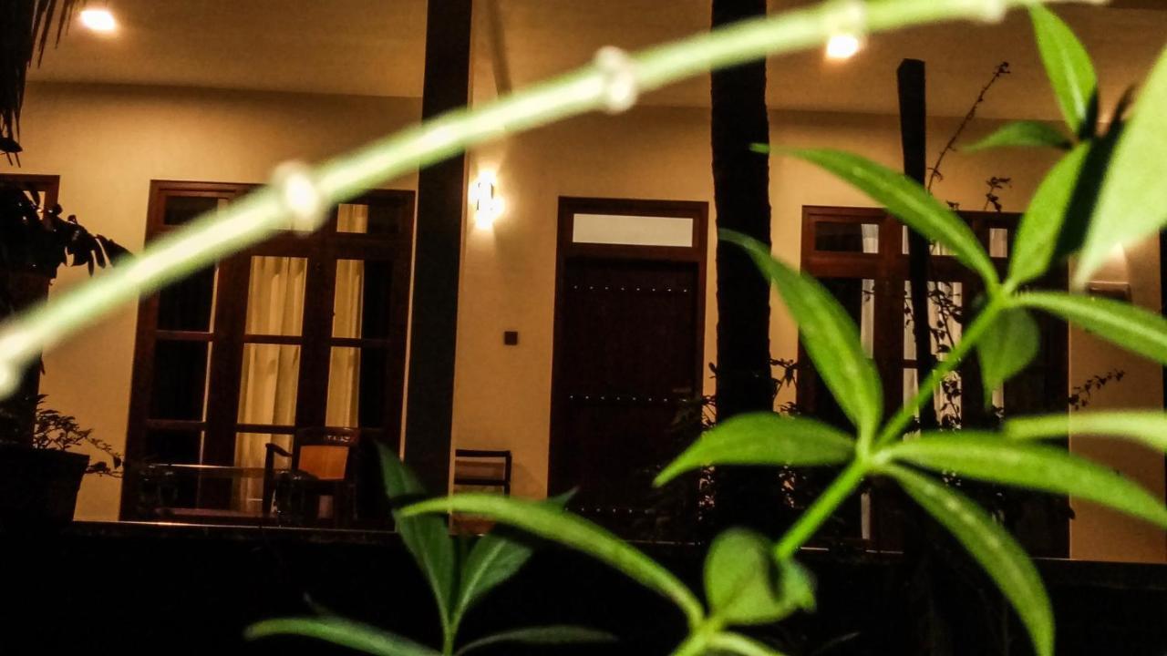 The Green Jungle 丹不拉 外观 照片